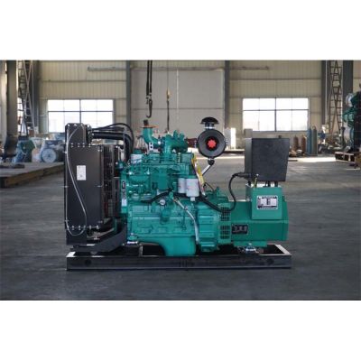 20kw東風(fēng)康明斯柴油發(fā)電機(jī)組-東風(fēng)康明斯4缸柴油機(jī)4B3.9-G2柴油發(fā)電機(jī)組,缸徑/行程：102/120mm,柴油發(fā)電機(jī)組水冷發(fā)動(dòng)機(jī)功率27KW,柴油發(fā)電機(jī)組配套馬拉松斯坦福發(fā)電機(jī)。廠價(jià)直銷歡迎選購：13773399855。